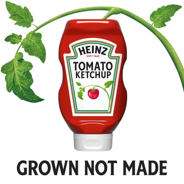 Heinz Tomato Ketchup (20 oz Bottle) - Image 6