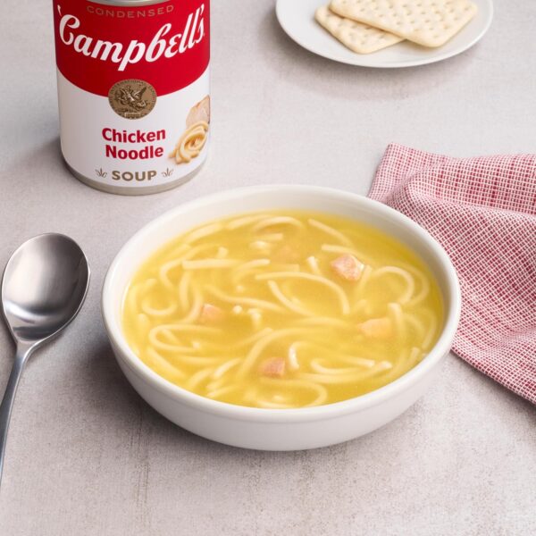 Japanese Noodle Soup Base Hon Tsuyu Gourmet Food - Image 4
