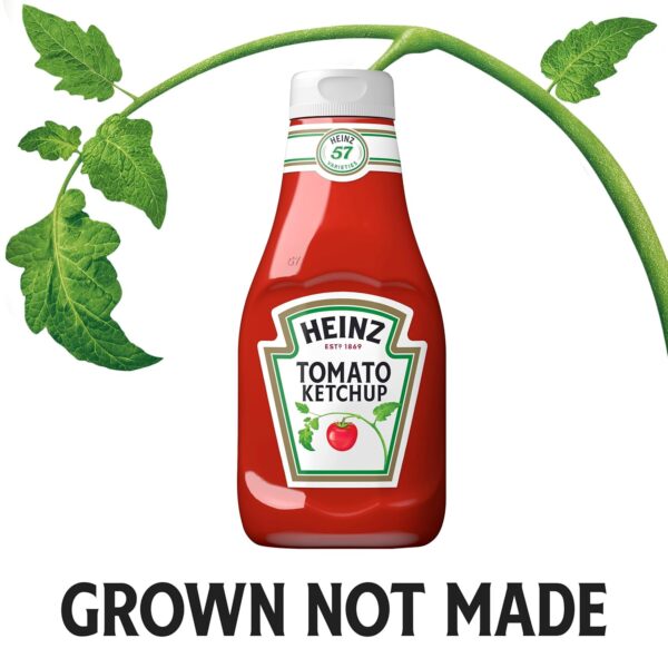 Heinz Tomato Ketchup, 38 oz Bottle - Image 5